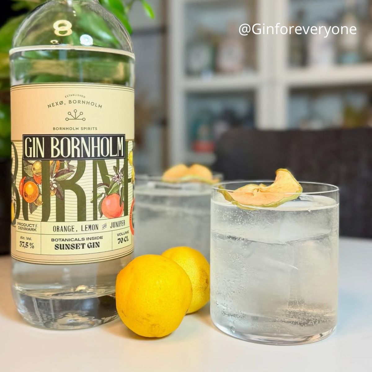 Luigi Bormioli Top Class Sklenice na Whisky 36,5 cl (6 ks) - Obrázek 4